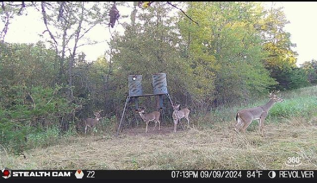 3636 State Highway 56, Bells, TX 75414