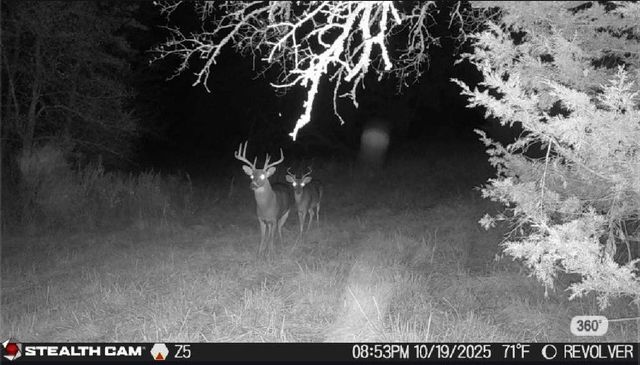 3636 State Highway 56, Bells, TX 75414