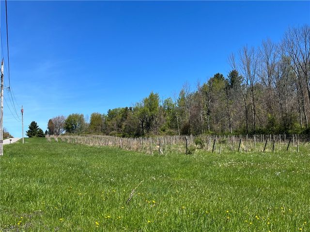 Chimney Heights Boulevard, Huron, NY 14590