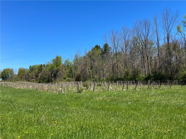 Chimney Heights Boulevard, Huron, NY 14590