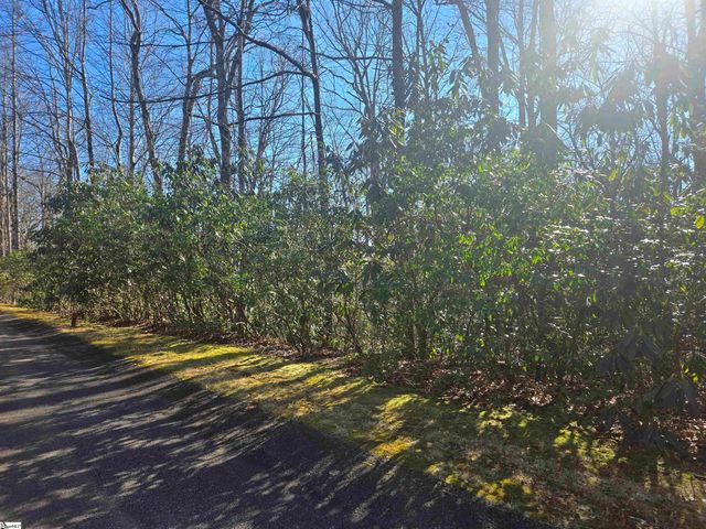 00 Birchbend, Cleveland, SC 29635