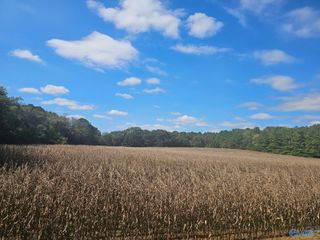 Lot 0 Landess Circle, Triana, AL 35758