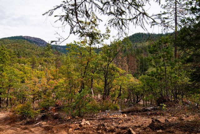 3860 Highway 227, Trail, OR 97541
