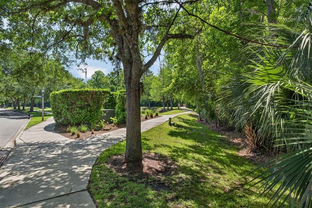 1003 OLD BLUSH ROAD, Celebration, FL 34747