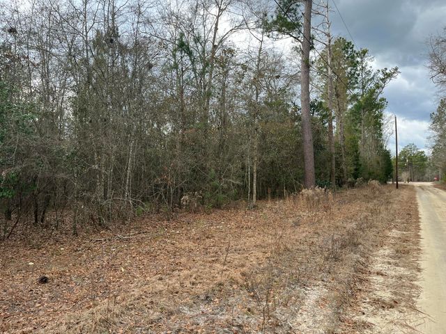101 Driggers Lane, Walterboro, SC 29488