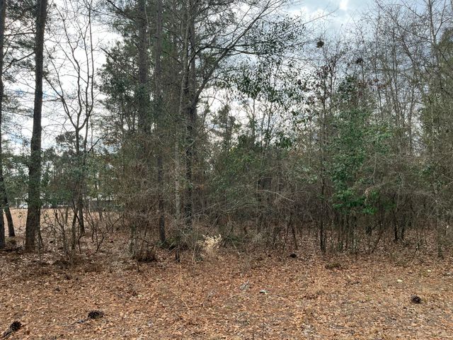 101 Driggers Lane, Walterboro, SC 29488