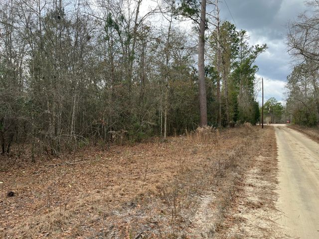 101 Driggers Lane, Walterboro, SC 29488