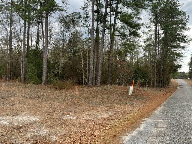 101 Driggers Lane, Walterboro, SC 29488