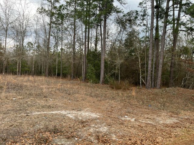 101 Driggers Lane, Walterboro, SC 29488
