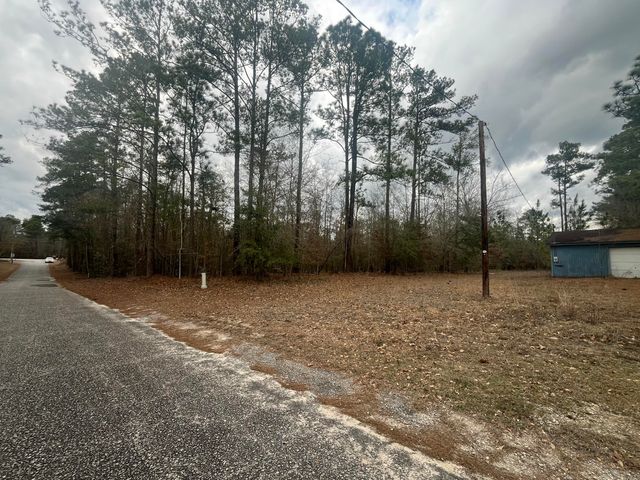 101 Driggers Lane, Walterboro, SC 29488