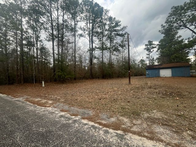 101 Driggers Lane, Walterboro, SC 29488