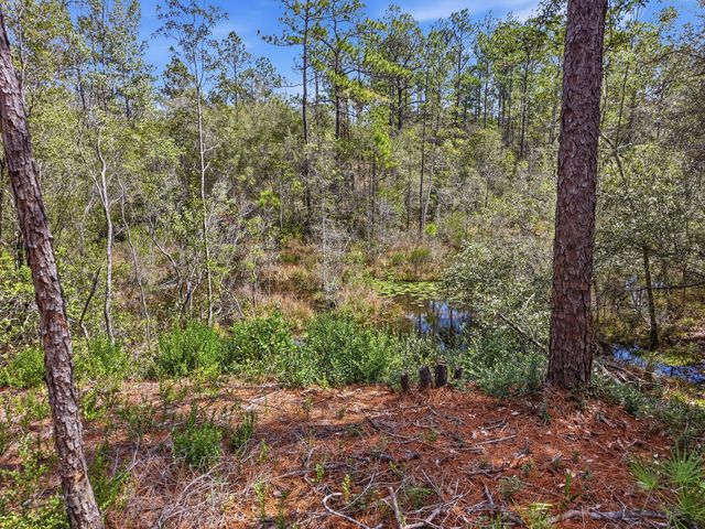 TBD Clearwater Drive LOTS 50 & 51, Defuniak Springs, FL 32433