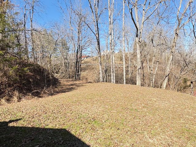 8209 KY-11, Green Road, KY 40946