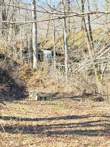 8209 KY-11, Green Road, KY 40946