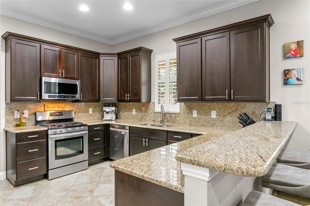 10121 KINGSBRIDGE AVENUE, Tampa, FL 33626