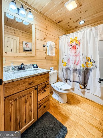 216 Eagle Talon Trail, Sautee Nacoochee, GA 30571