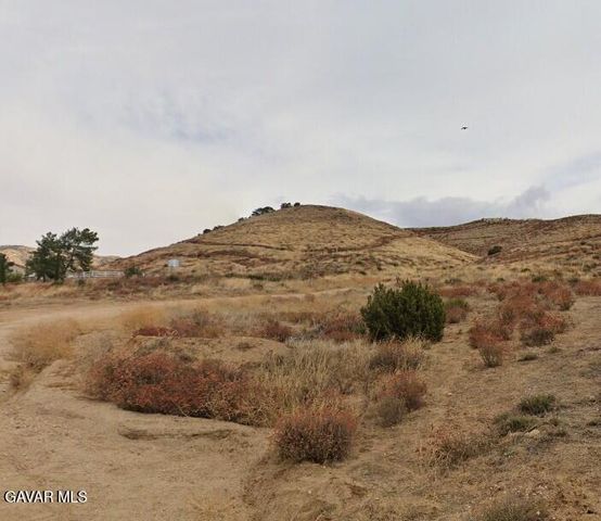 Corradi Terrace & Via Famero Dr, Acton, CA 93510