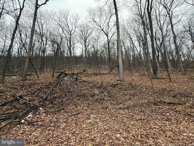 WARBLER'S WAY, Berkeley Springs, WV 25411