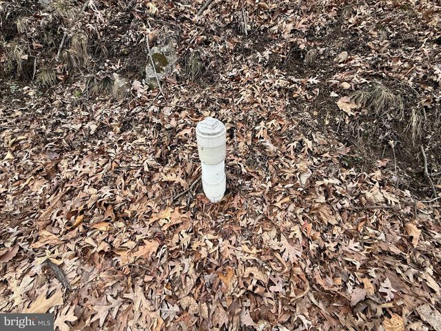 WARBLER'S WAY, Berkeley Springs, WV 25411