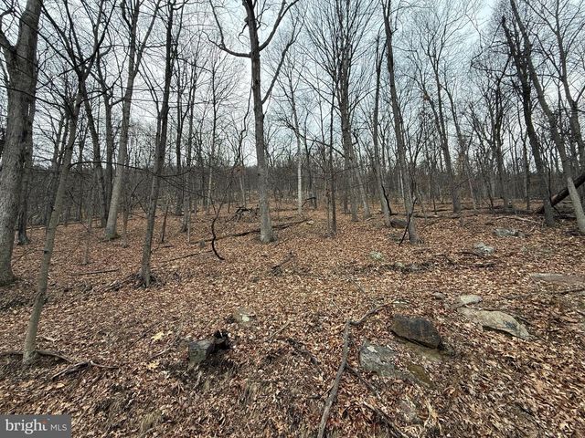 WARBLER'S WAY, Berkeley Springs, WV 25411