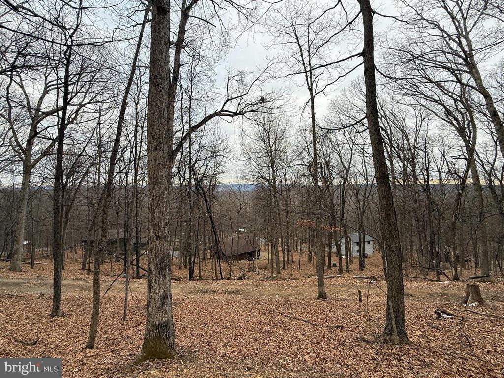 WARBLER'S WAY, Berkeley Springs, WV 25411