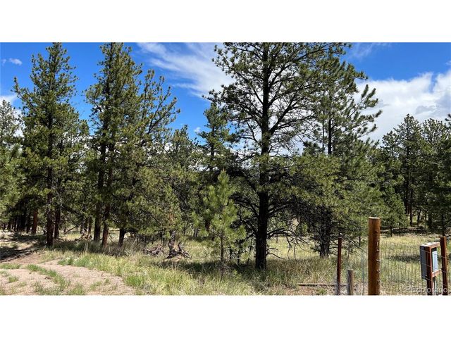 207 Little Bear Dr, Westcliffe, CO 81252