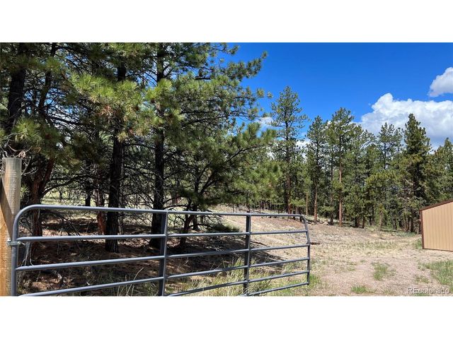 207 Little Bear Dr, Westcliffe, CO 81252