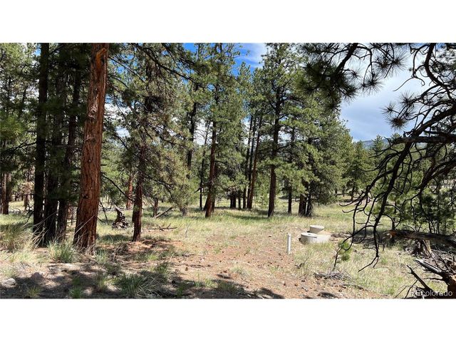 207 Little Bear Dr, Westcliffe, CO 81252
