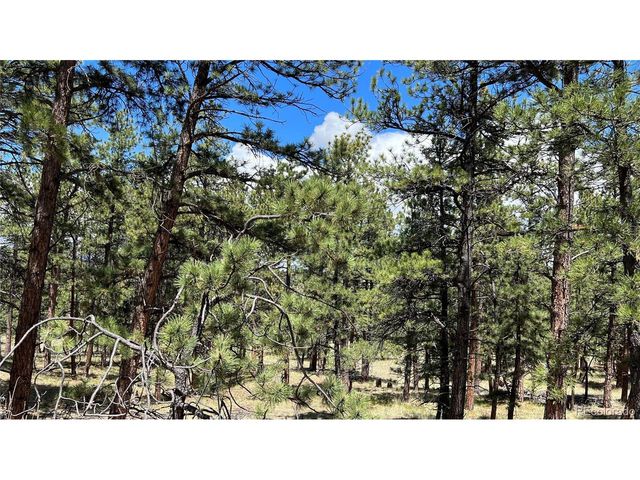 207 Little Bear Dr, Westcliffe, CO 81252