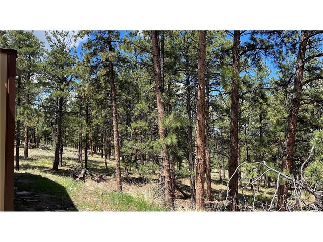 207 Little Bear Dr, Westcliffe, CO 81252