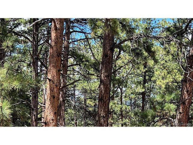 207 Little Bear Dr, Westcliffe, CO 81252