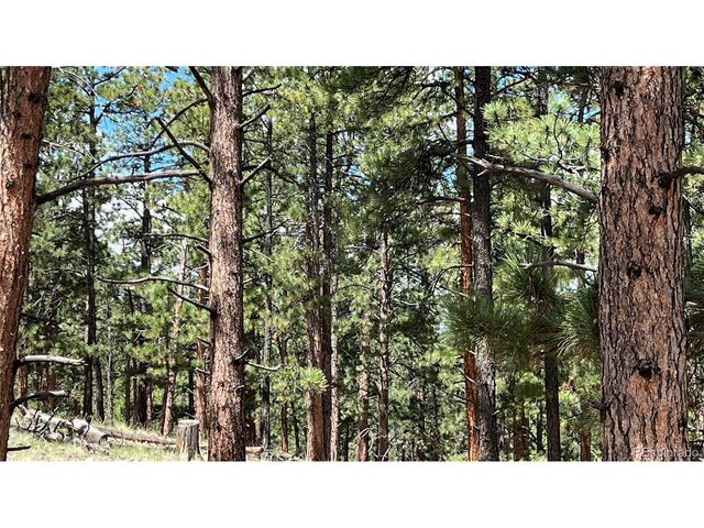 207 Little Bear Dr, Westcliffe, CO 81252