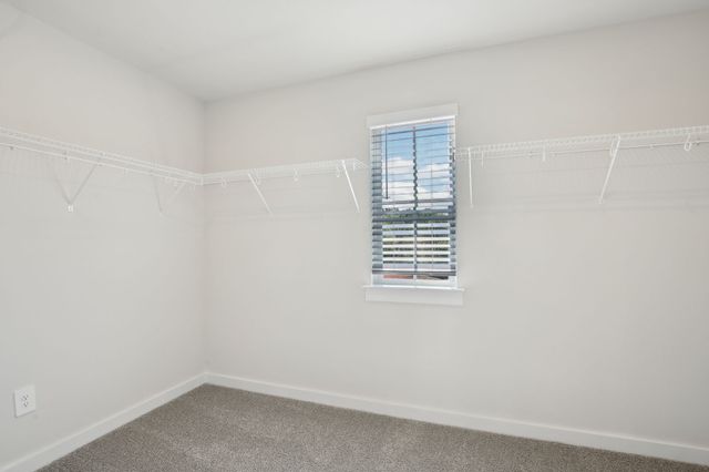 1086 Bluffton Cir, Clarksville, TN 37043