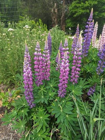 1803 Fleming Road, Greensboro, NC 27410