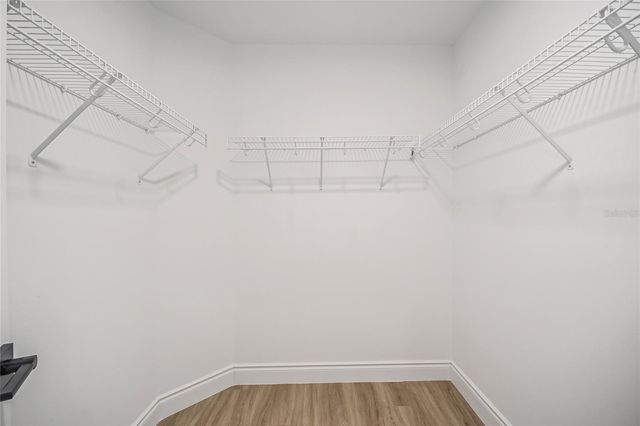 808 WHITE IVEY COURT, Apopka, FL 32712