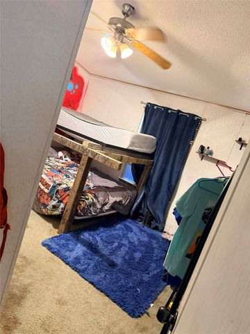 9416 MANNING RANCH Road, Payne Springs, TX 75124