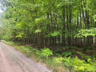 Lots 239, 240, 241 Havenwood Drive, Lake, MI 48632