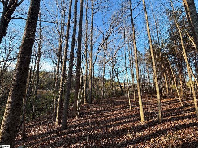 5335 Pumpkintown Highway, Pickens, SC 29671