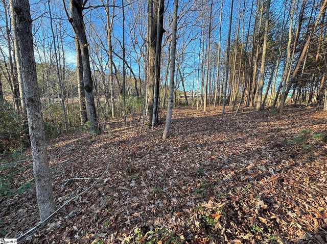 5335 Pumpkintown Highway, Pickens, SC 29671