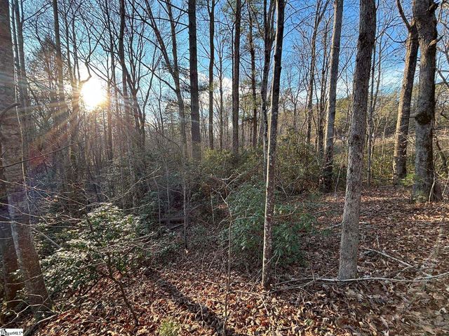 5335 Pumpkintown Highway, Pickens, SC 29671