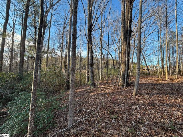 5335 Pumpkintown Highway, Pickens, SC 29671