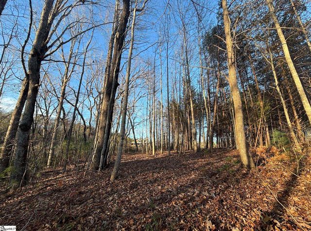 5335 Pumpkintown Highway, Pickens, SC 29671