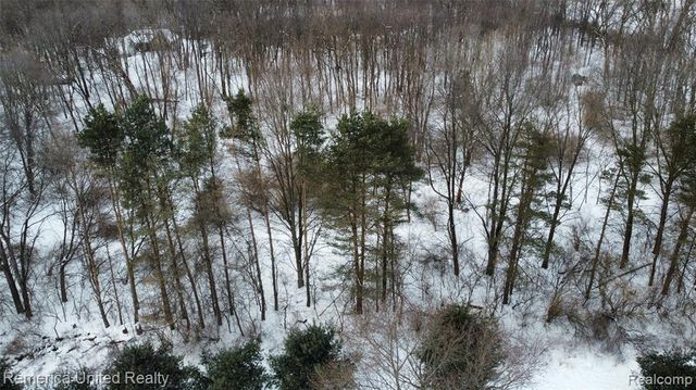 4297 Dinser Lane, Whitmore Lake, MI 48189