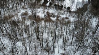 4297 Dinser Lane, Whitmore Lake, MI 48189