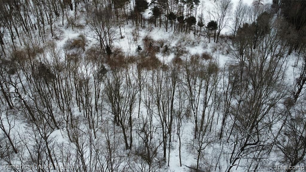 4297 Dinser Lane, Whitmore Lake, MI 48189