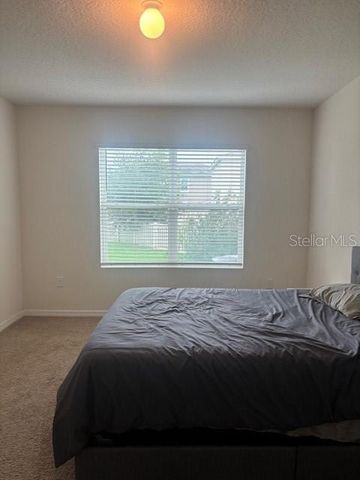 32696 PEZ LANDING LANE, Wesley Chapel, FL 33543