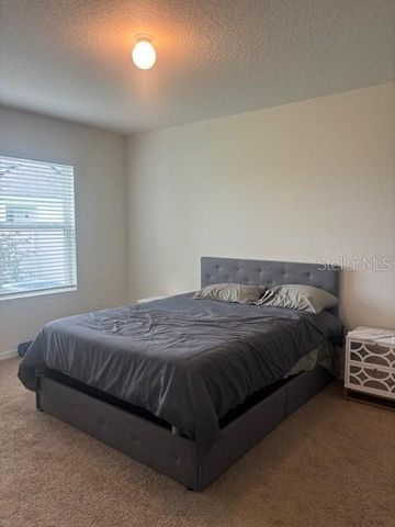 32696 PEZ LANDING LANE, Wesley Chapel, FL 33543