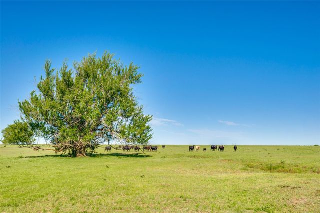 TBD Hwy 377, Pilot Point, TX 76258