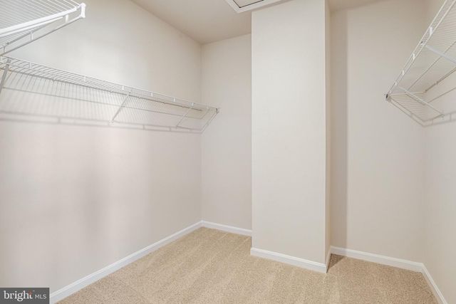 421 ENSEMBLE WAY, Frederick, MD 21701