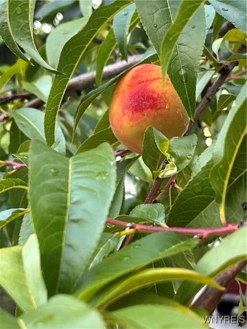 93 North End Avenue, Tonawanda, NY 14217